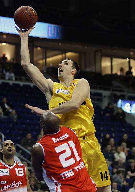 和观赏性的 和观赏性的